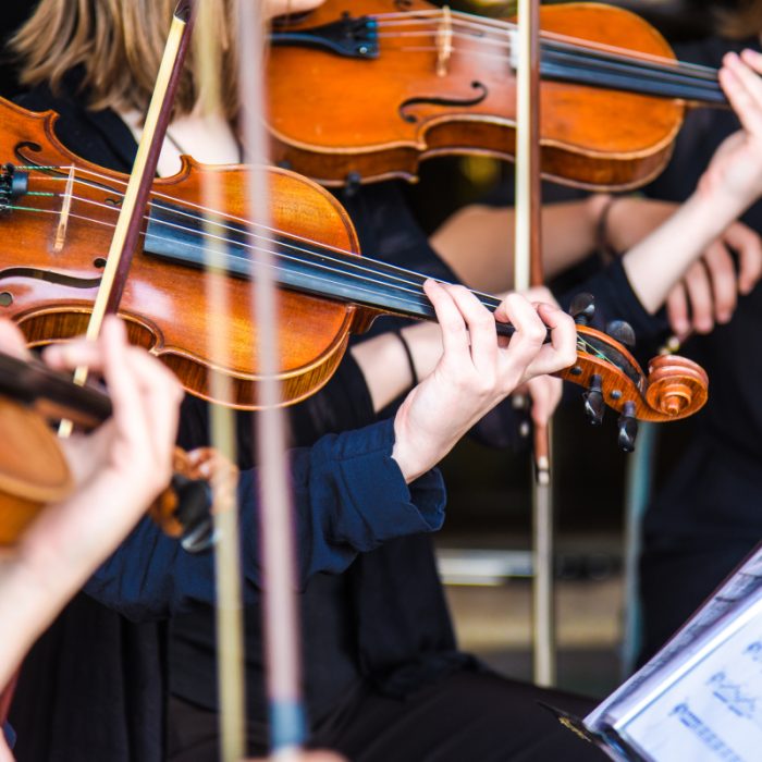 Músics tocant violins en una actuació de simfonia en directe.